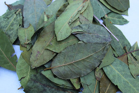 香叶   香料    食物原料