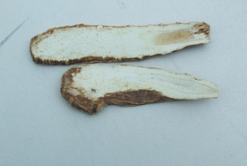 白芷   香料   食物原料