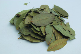 香叶   香料    食物原料