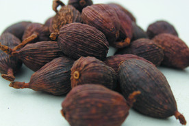 草果   香料  食物原料