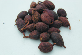 草果   香料  食物原料