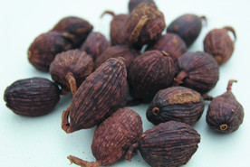 草果   香料  食物原料