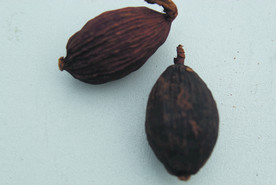 草果   香料  食物原料