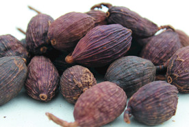 草果   香料  食物原料