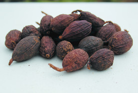 草果   香料  食物原料