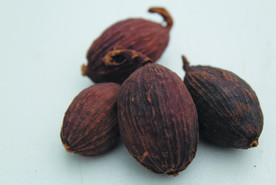 草果   香料  食物原料