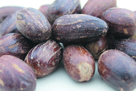 香果  香料  食物原料