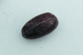 香果  香料  食物原料