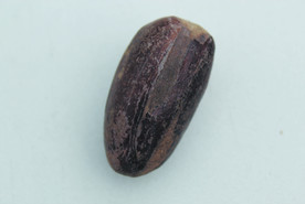 香果  香料  食物原料