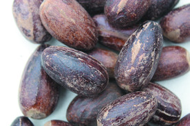 香果  香料  食物原料