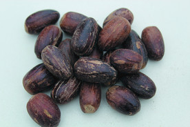 香果  香料  食物原料