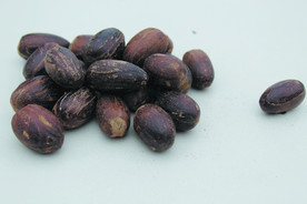 香果  香料  食物原料