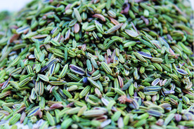 茴香   香料   食物原料