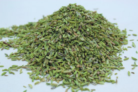 茴香   香料   食物原料