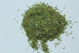 茴香   香料   食物原料