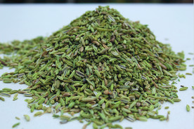 茴香   香料   食物原料