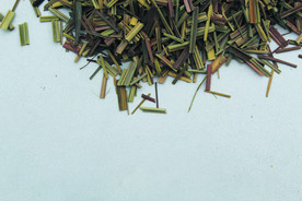 香草  香料  食物原料