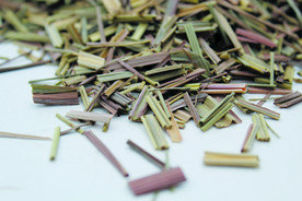 香草  香料  食物原料