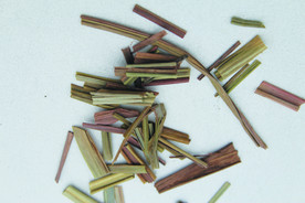 香草  香料  食物原料