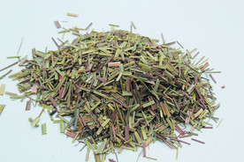 香草  香料  食物原料