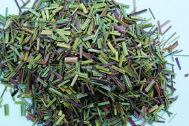 香草  香料  食物原料