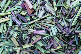 香草  香料  食物原料