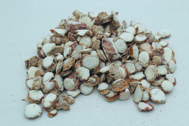 三奈   香料   食物原料