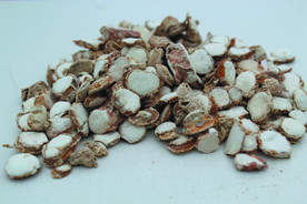 三奈    香料   食物原料