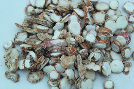 三奈    香料   食物原料