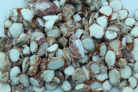 三奈    香料   食物原料