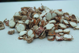 三奈    香料   食物原料