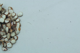 三奈    香料   食物原料