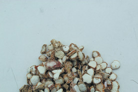 三奈    香料   食物原料