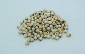 莲子       食品原料