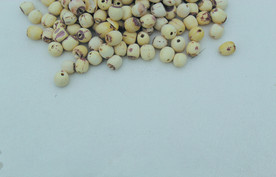 莲子       食品原料