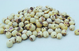 莲子       食品原料