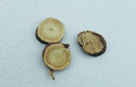 甘草 干货 食品原料 甘草图片