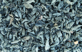 木耳   黑木耳   小木耳