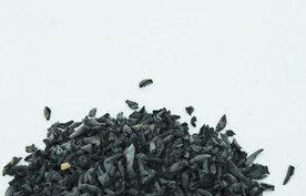 木耳   黑木耳   小木耳