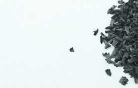 木耳   黑木耳   小木耳