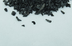 木耳   黑木耳   小木耳