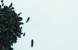 木耳   黑木耳   小木耳