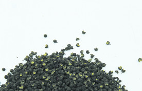 花椒   青花椒   干货