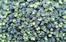 花椒   青花椒   干货