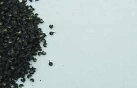 花椒   干花椒   香花椒