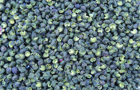 花椒   青花椒   干货