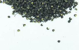 花椒   青花椒   干货