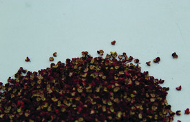 花椒   干花椒   香花椒