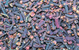 丁香  香料   食物原料