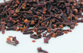 丁香  香料   食物原料